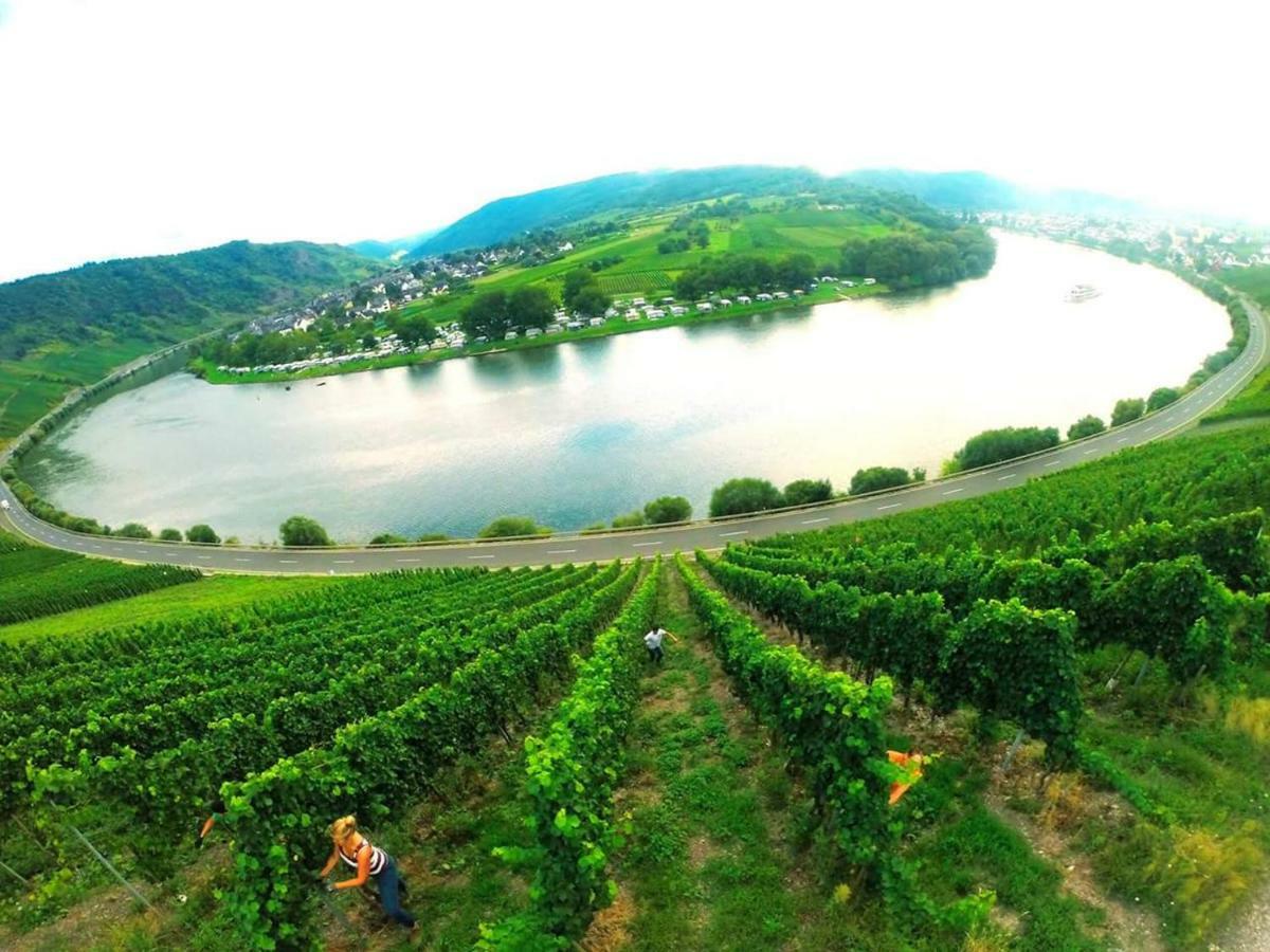 Der Weinladen Lägenhet Kröv Exteriör bild
